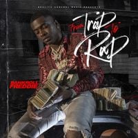 Bankroll Freddie - From Trap To Rap