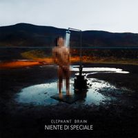 Elephant Brain - Niente Di Speciale