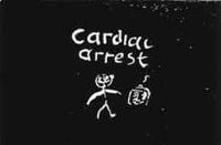 Cardiacs - The Obvious Identity