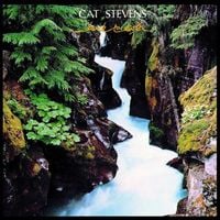 Cat Stevens - Back to Earth