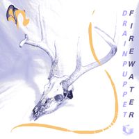 Drainpuppet - Firewater