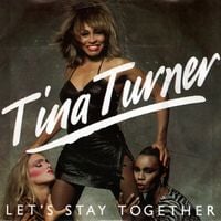 Tina Turner - Let's Stay Together