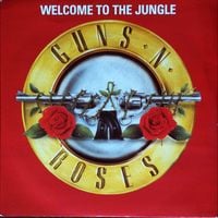 Guns N' Roses - Welcome to the Jungle