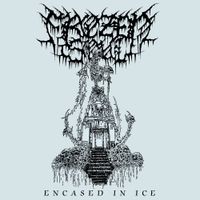 Frozen Soul - Encased in Ice