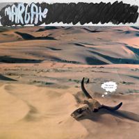 Sports Team - Margate