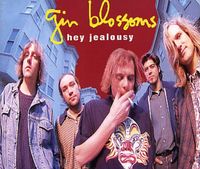 Gin Blossoms - Hey Jealousy