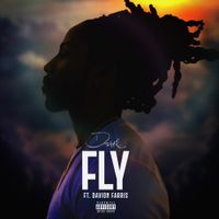 D Smoke - Fly