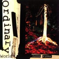 Duran Duran - Ordinary World