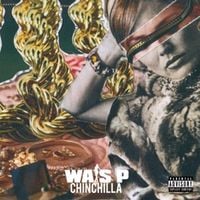 Wais P - Chinchilla