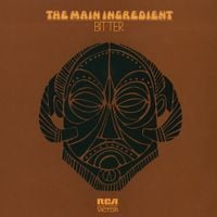 The Main Ingredient - Bitter Sweet