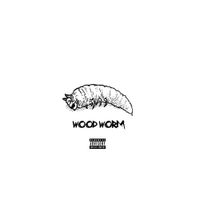 NOEL - Wood Worm