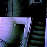 Sd Laika - Lost Files