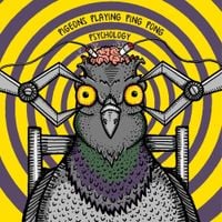 Pigeons Playing Ping Pong - Psychology