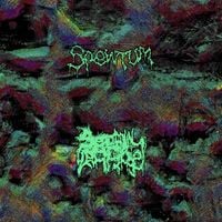Spewtum / Serotonin Leakage - Split