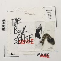 MAVI - Sense