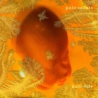 Pale Saints - Half-Life