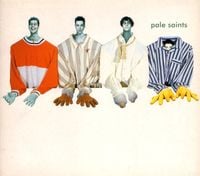 Pale Saints - Throwing Back the Apple
