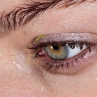 L&aring;psley - My Love Was Like the Rain