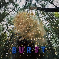 snarls - Burst