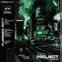 Flameboi Matt - PROJECT - 3050: CAP.01