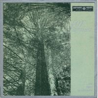 For Against - In The Marshes