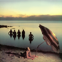 Australian Crawl - The Boys Light Up