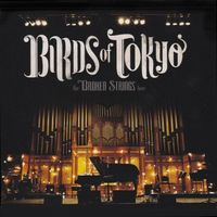 Birds of Tokyo - The Broken Strings Tour