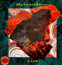 The Comsat Angels - Land