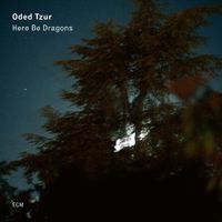 Oded Tzur - Here Be Dragons