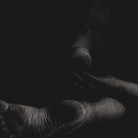 Fawn Limbs - Their Holes Aroused by the Splinters Carved From Their Teeth