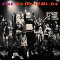 P!nk - Are We All We Are