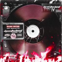 DP Beats - DPONTHEBEAT VOL 4.5 (DELUXE Edition)