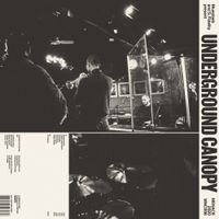 Underground Canopy, Bluestaeb, S. Fidelity - Bluestaeb & S. Fidelity Present Underground Canopy