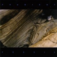Prurient - Fossil