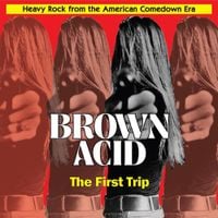 Various Artists - Brown Acid: The First Trip