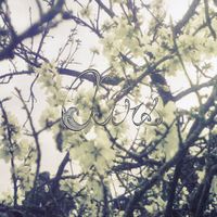 Airs - Gloomlights