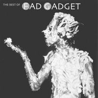 Fad Gadget - The Best of Fad Gadget