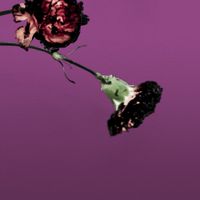 John Legend - You & I (Nobody in the World)