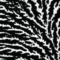 Grouper - Cover the Windows and the Walls