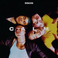 5 Seconds of Summer - CALM