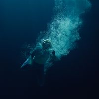 L&aring;psley - Womxn