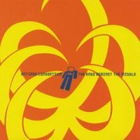 Antipop Consortium - The Ends Against the Middle