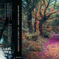 Siavash Amini & Sa&aring;ad - All Lanes of Lilac Evening