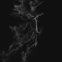 Jarboe - Illusory