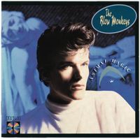 The Blow Monkeys - Animal Magic