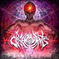 Observants - Supreme Being