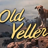 Joji - old yeller