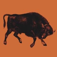 Modern Bison - I Could've Had a Rustic Pagoda