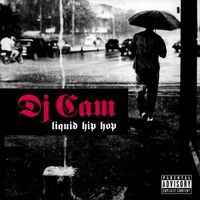 DJ Cam - Liquid Hip Hop