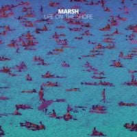 Marsh - Life on the Shore